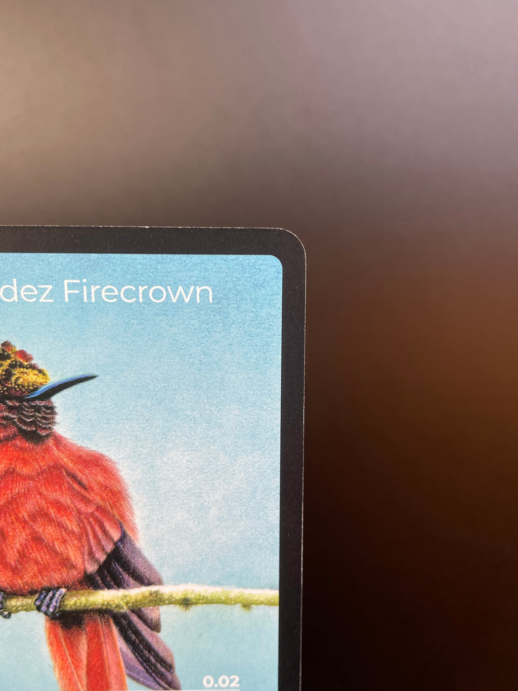 Juan Fernandez Firecrown — Birds Full Art #25/130 | LIFE TCG | 1st Edition (Pop: 400)