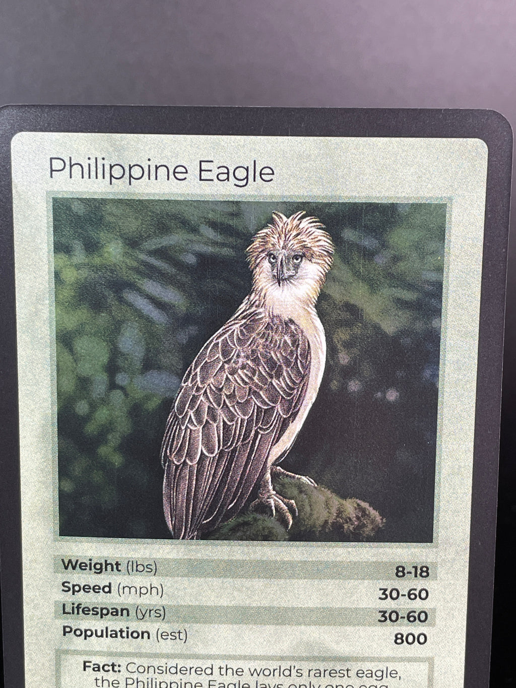 Philippine Eagle — Birds Holo #17/130 | LIFE TCG | 1st Edition (Pop: 800)