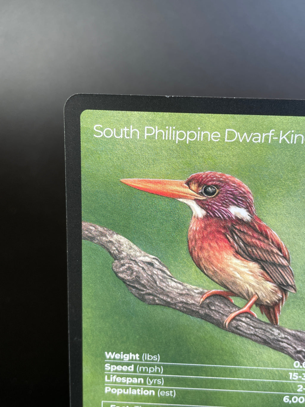 South Philippine Dwarf-Kingfisher — Birds Full Art #34/130 | LIFE TCG | 1st Edition (Pop: 600)