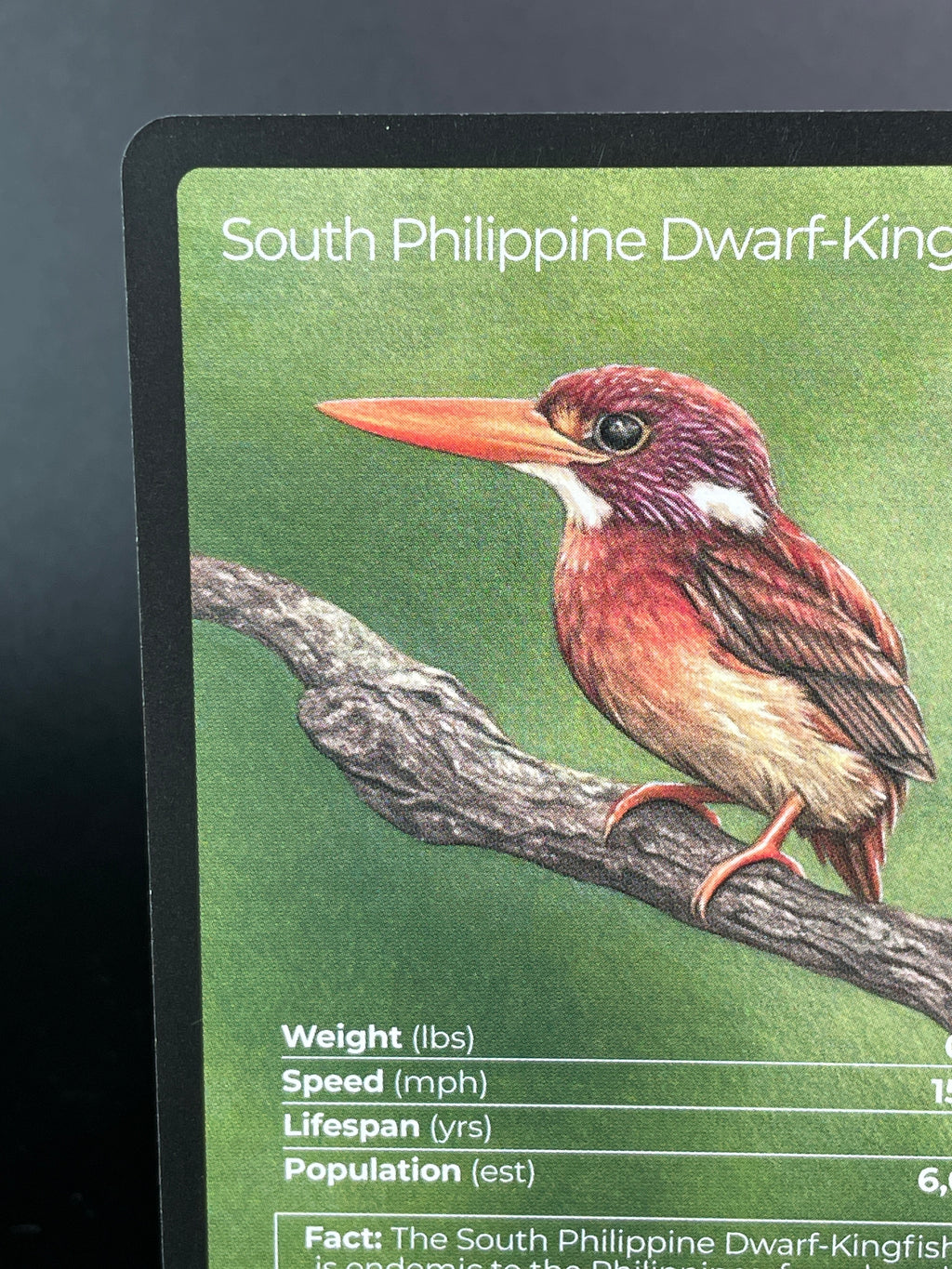 South Philippine Dwarf-Kingfisher — Birds Full Art #34/130 | LIFE TCG | 1st Edition (Pop: 600)