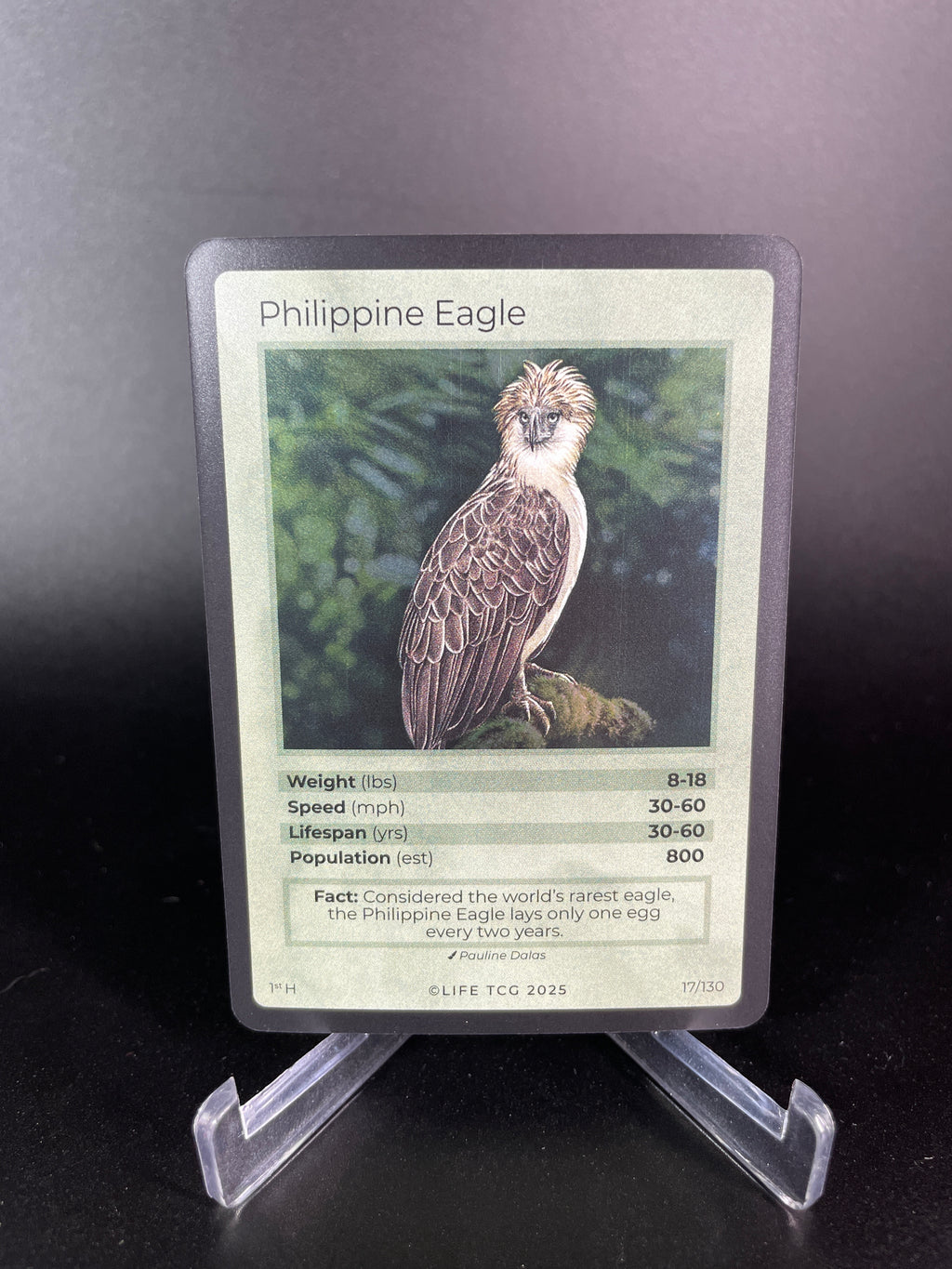 Philippine Eagle — Birds Holo #17/130 | LIFE TCG | 1st Edition (Pop: 800)