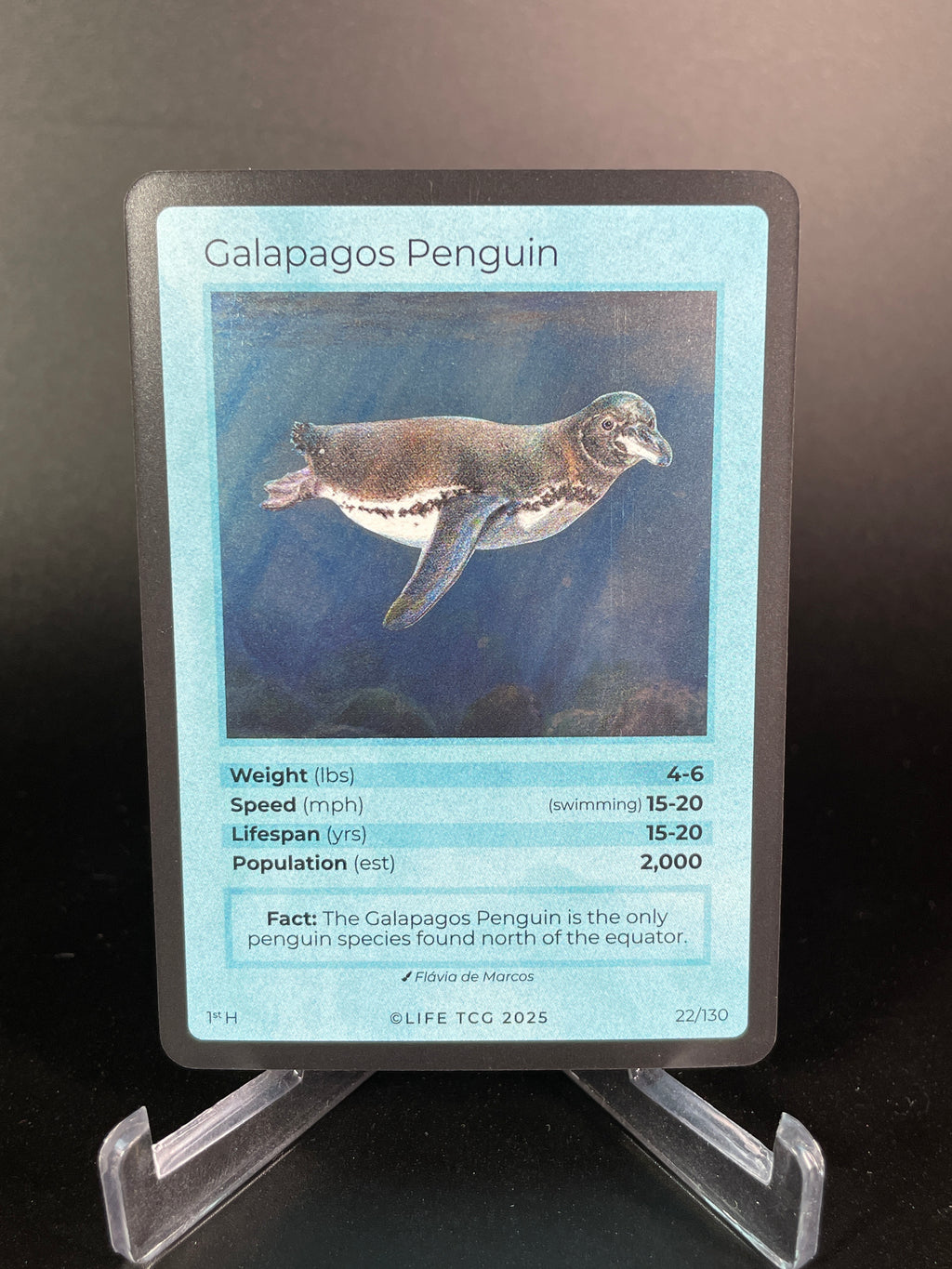 Galapagos Penguin — Birds Holo #22/130 | LIFE TCG | 1st Edition (Pop: 2,000)