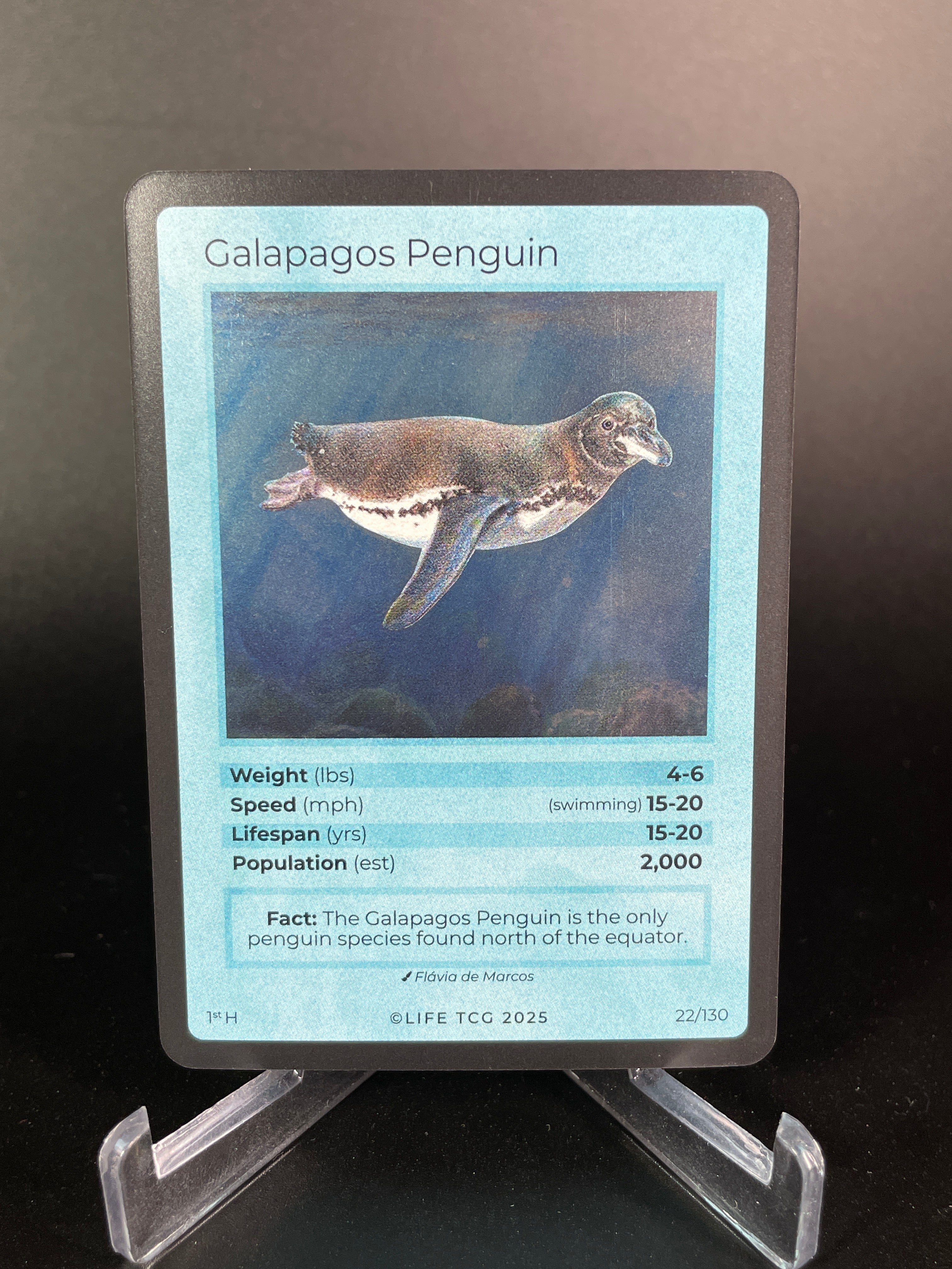 Galapagos Penguin — Birds Holo #22/130 | LIFE TCG | 1st Edition (Pop: 2,000)