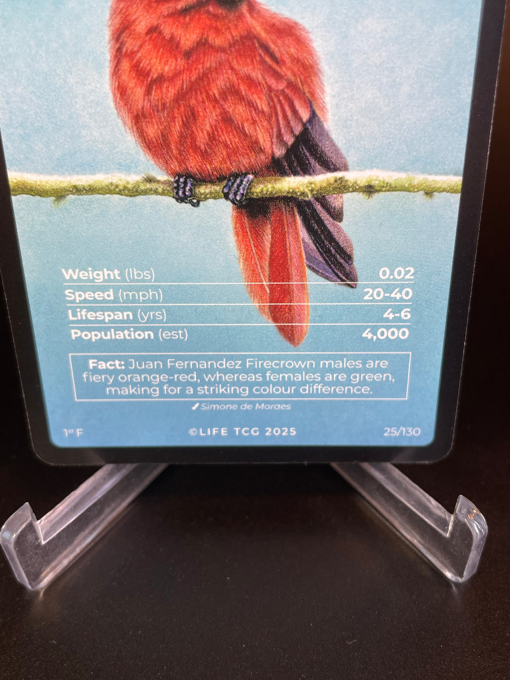 Juan Fernandez Firecrown — Birds Full Art #25/130 | LIFE TCG | 1st Edition (Pop: 400)