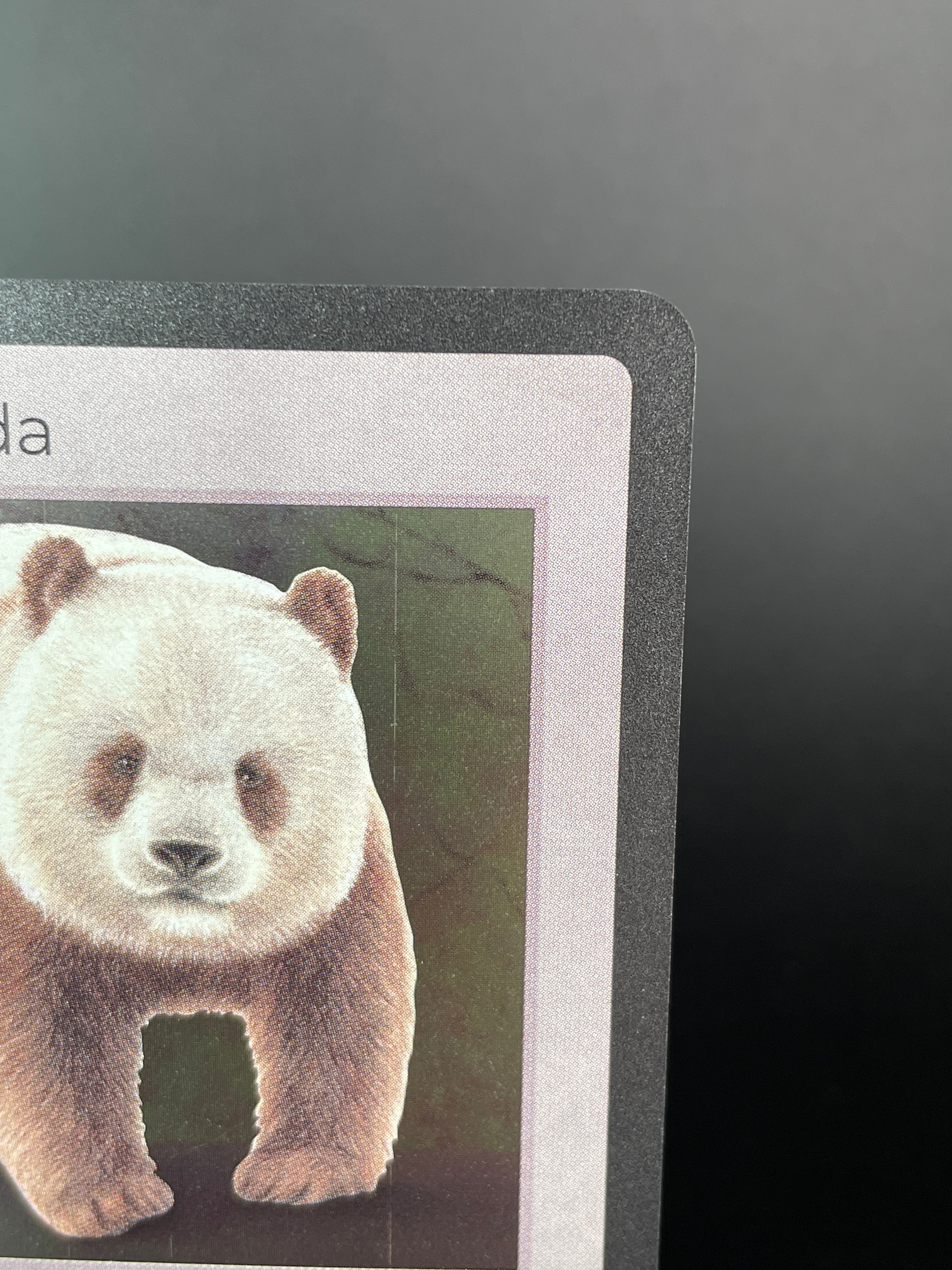 Qinling Panda — Mammals Holo #119/100 | LIFE TCG | 1st Edition (Pop: 300)