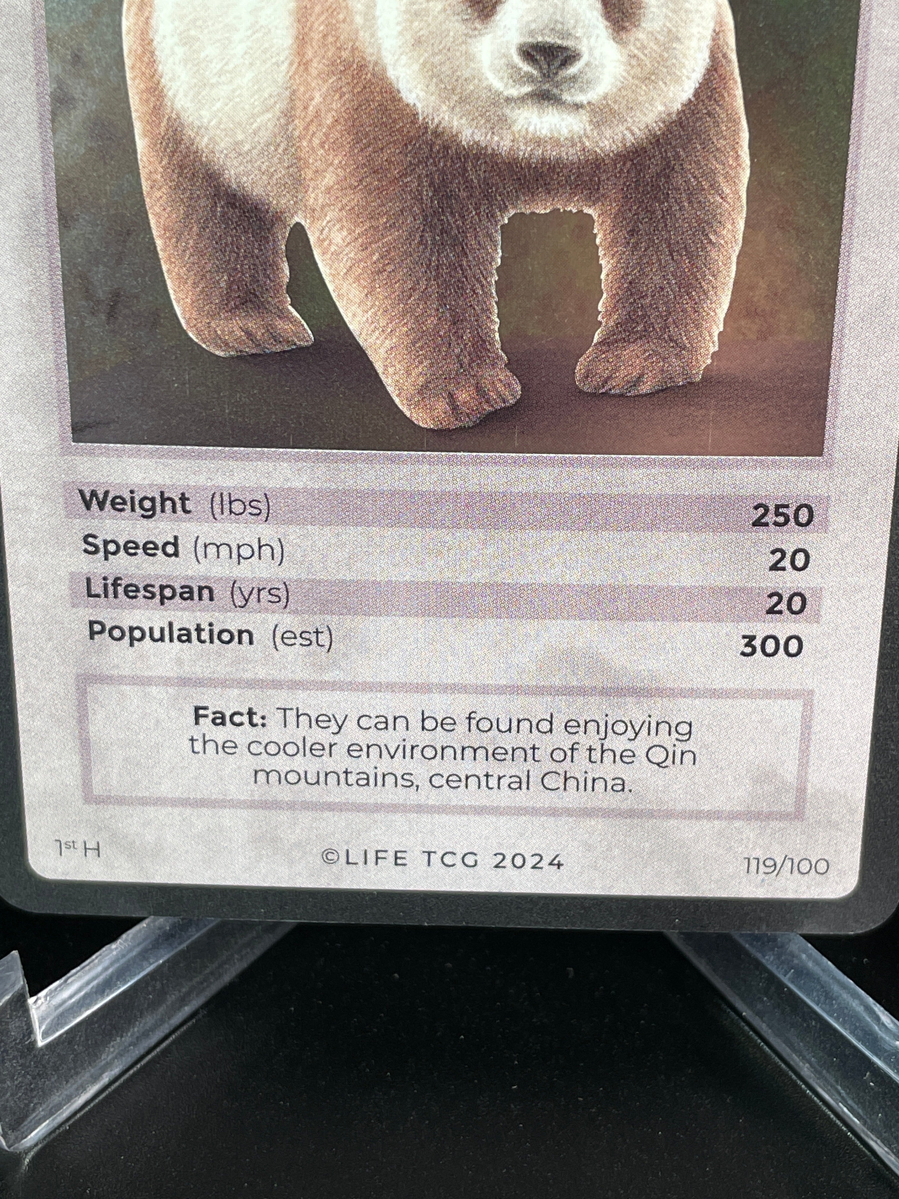 Qinling Panda — Mammals Holo #119/100 | LIFE TCG | 1st Edition (Pop: 300)