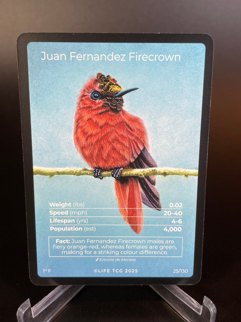 Juan Fernandez Firecrown — Birds Full Art #25/130 | LIFE TCG | 1st Edition (Pop: 400)