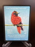 Juan Fernandez Firecrown — Birds Full Art #25/130 | LIFE TCG | 1st Edition (Pop: 400)
