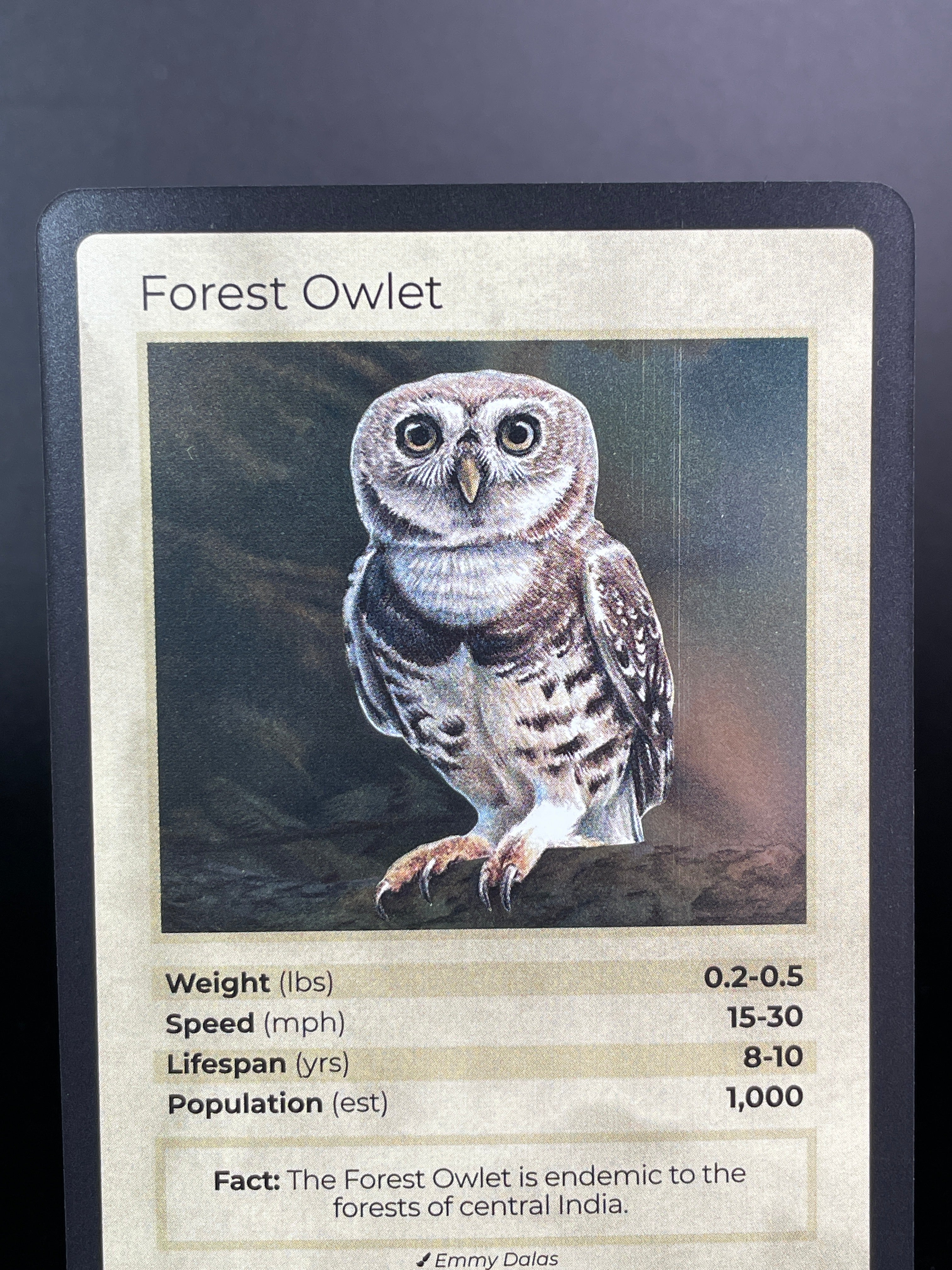 Forest Owlet — Birds Holo #19/130 | LIFE TCG | 1st Edition (Pop: 1,000)