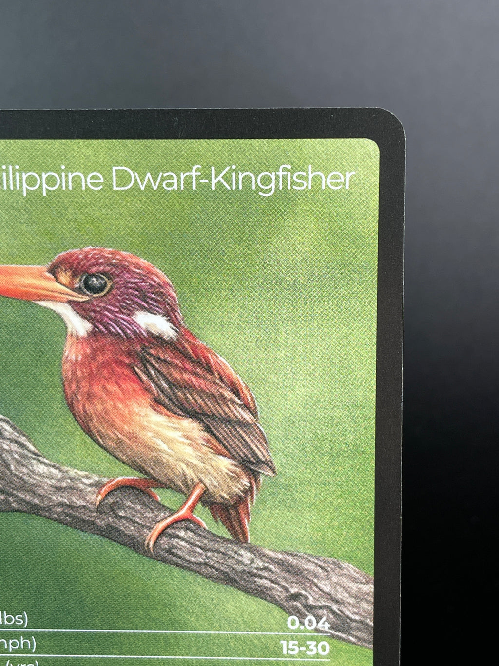 South Philippine Dwarf-Kingfisher — Birds Full Art #34/130 | LIFE TCG | 1st Edition (Pop: 600)