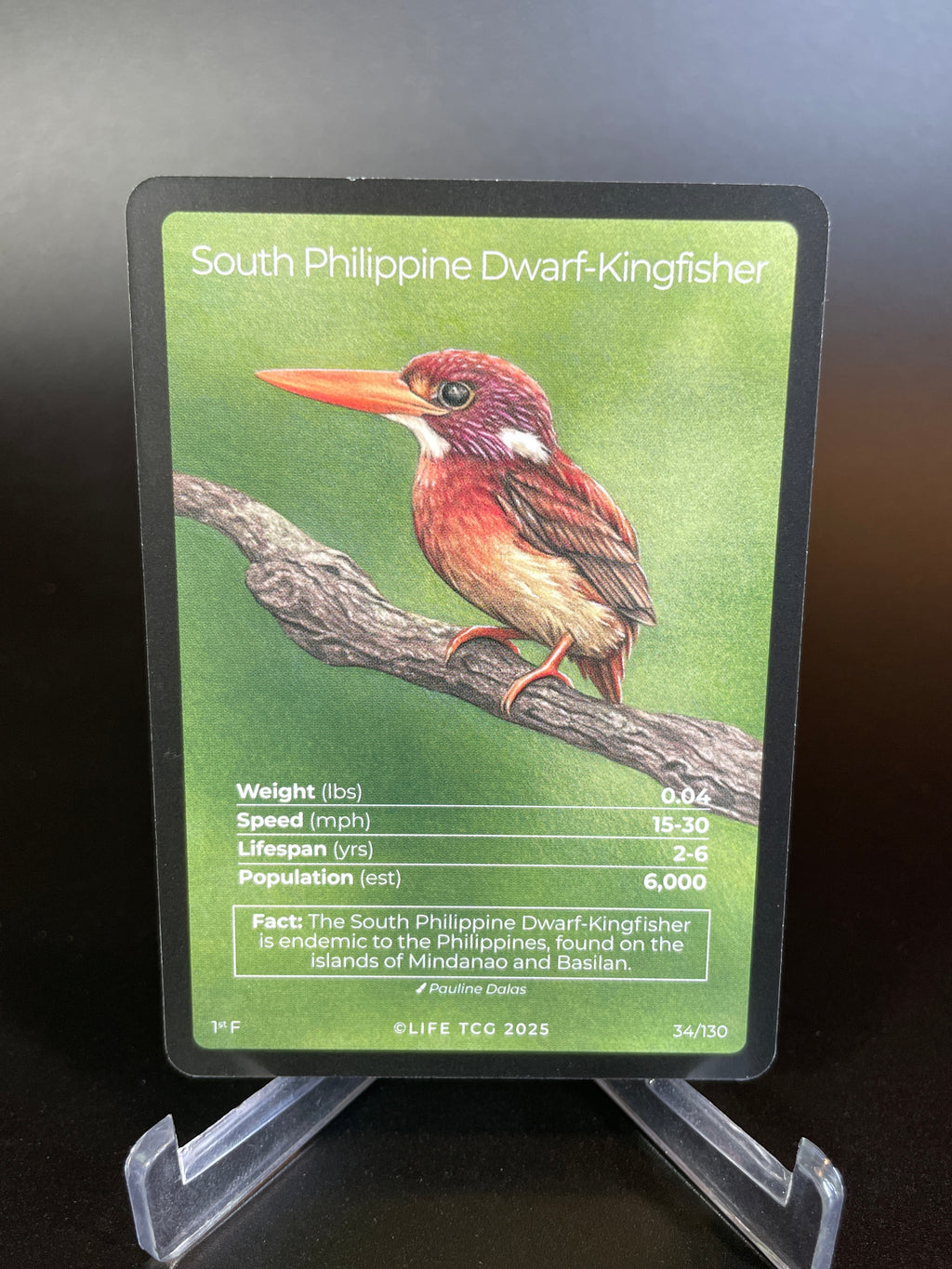 South Philippine Dwarf-Kingfisher — Birds Full Art #34/130 | LIFE TCG | 1st Edition (Pop: 600)