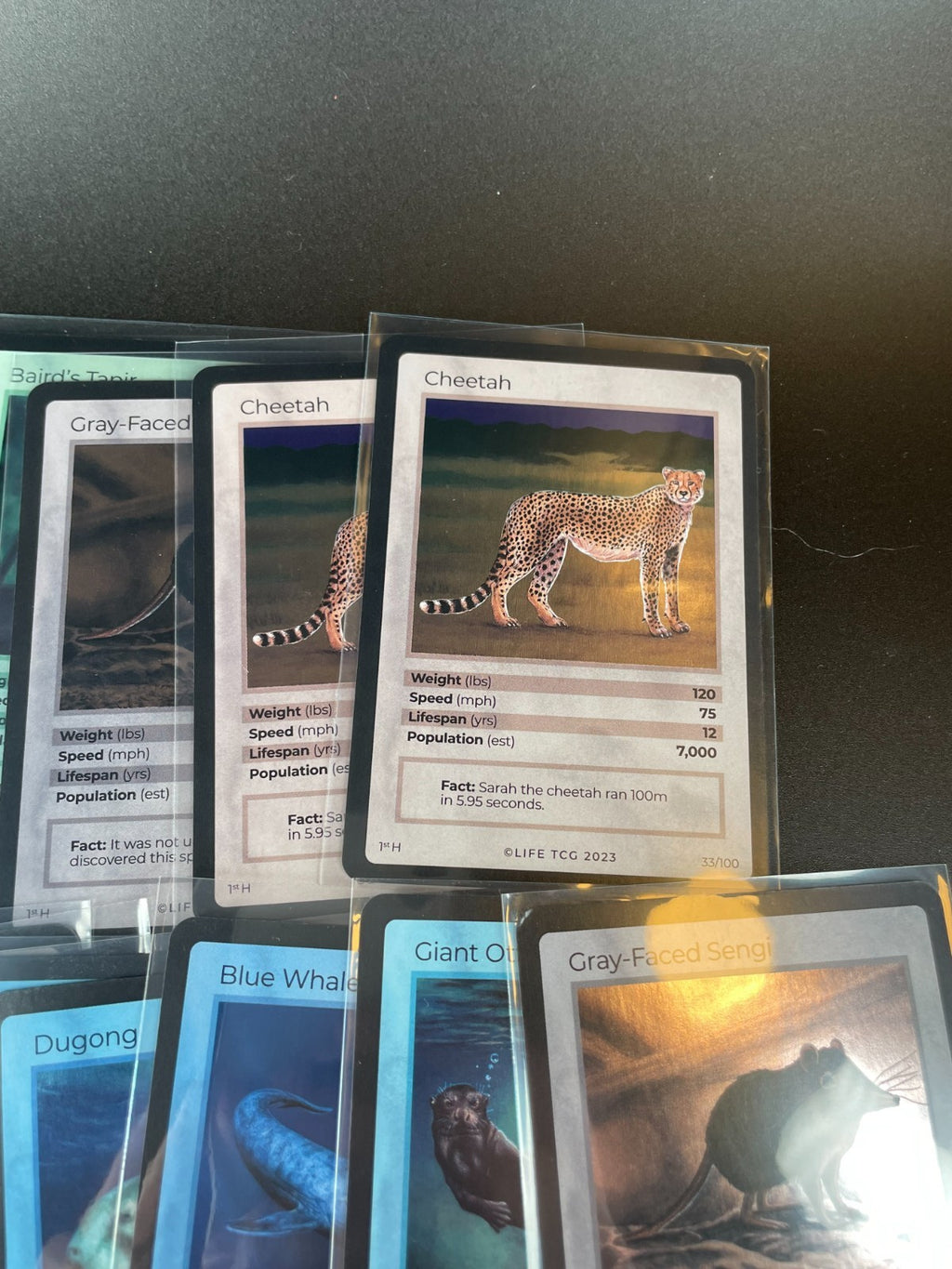 LIFE TCG Mammals High Pop Holos Lot - 15 cards! Mixed cards from Alpha Print