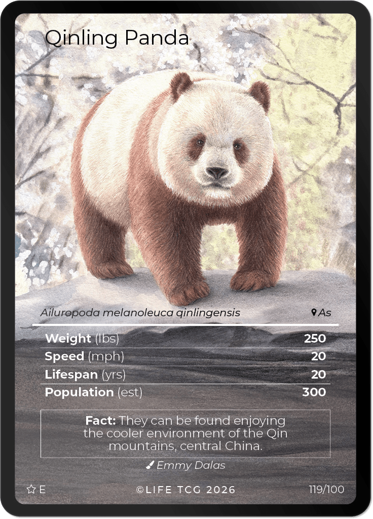 LIFE TCG Mammals Special Edition - Choose Your Card - Holos, Rares, Extended Arts, Full Arts (Extended Art, 119E - Qinling Panda 119/100)