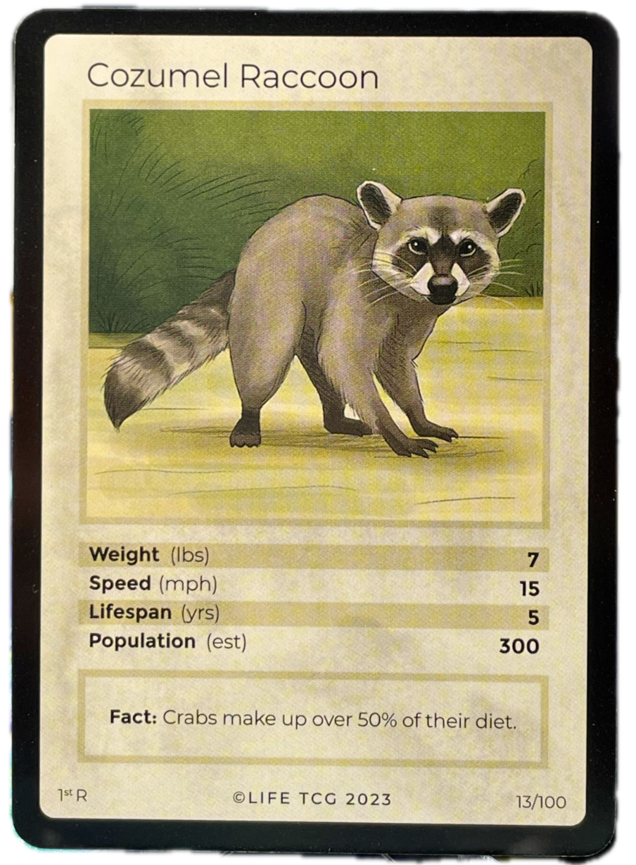 LIFE TCG Mammals 1st Edition - Choose Your Card - Holos #26-53 & Rares #1-25 (Cozumel Raccoon 13/100 - Rare)