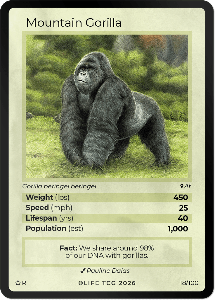 LIFE TCG Mammals Special Edition - Choose Your Card - Holos, Rares, Extended Arts, Full Arts (Rare, 18R - Mountain Gorilla 18/100)