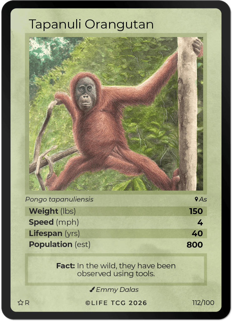 LIFE TCG Mammals Special Edition - Choose Your Card - Holos, Rares, Extended Arts, Full Arts (Rare, 112R - Tapanuli Orangutan 112/100)