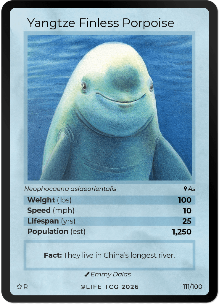 LIFE TCG Mammals Special Edition - Choose Your Card - Holos, Rares, Extended Arts, Full Arts (Rare, 111R - Yangtze Finless Porpoise 111/100)