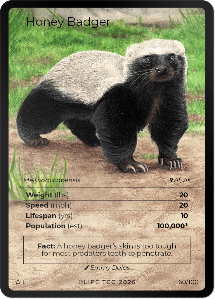 LIFE TCG Mammals Special Edition - Choose Your Card - Holos, Rares, Extended Arts, Full Arts (Extended Art, 60E - Honey Badger 60/100)