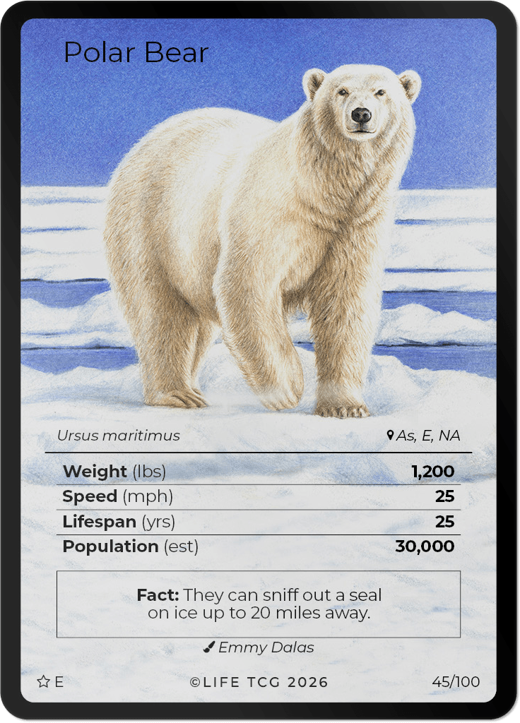 LIFE TCG Mammals Special Edition - Choose Your Card - Holos, Rares, Extended Arts, Full Arts (Extended Art, 45E - Polar Bear 45/100)
