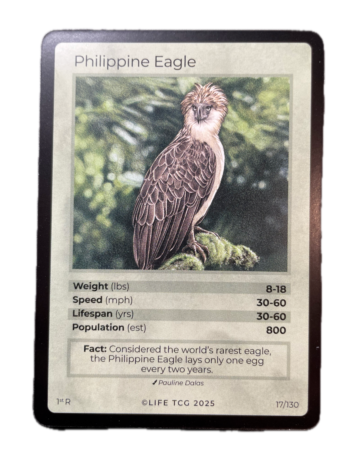 LIFE TCG Birds 1st Edition - Choose Your Card - Holos, Full Arts, Rares (Rare, 17R - Philippine Eagle 17/130)