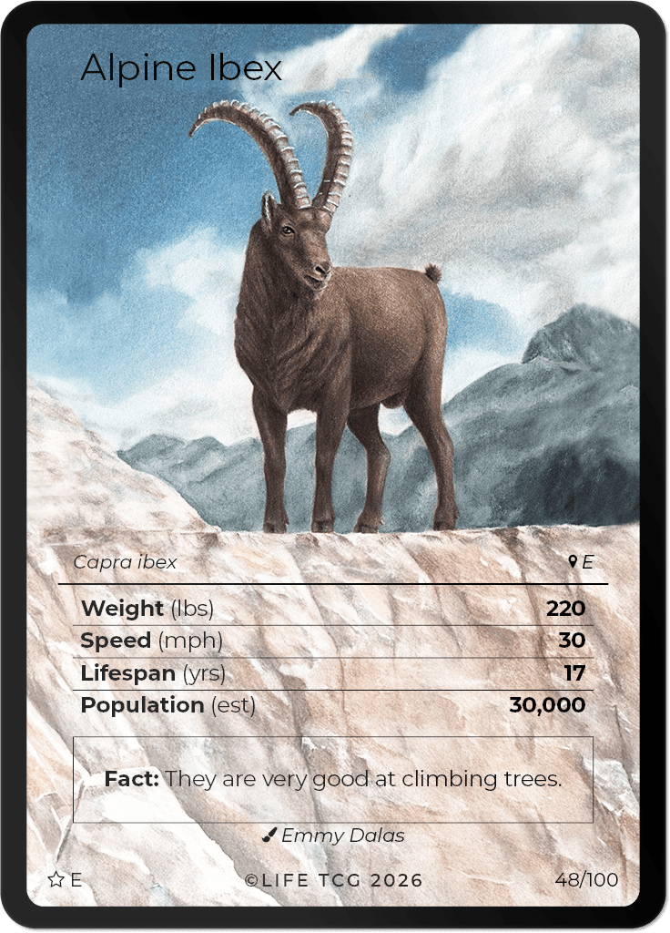 LIFE TCG Mammals Special Edition - Choose Your Card - Holos, Rares, Extended Arts, Full Arts (Extended Art, 48E - Alpine Ibex 48/100)