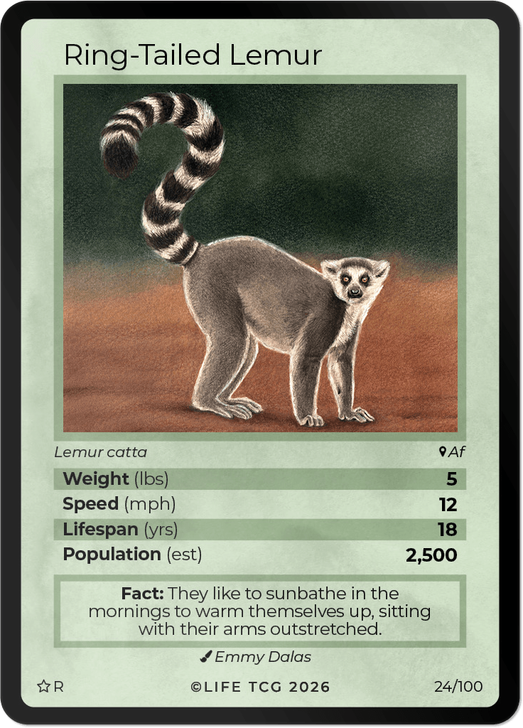 LIFE TCG Mammals Special Edition - Choose Your Card - Holos, Rares, Extended Arts, Full Arts (Rare, 24R - Ring-Tailed Lemur 24/100)