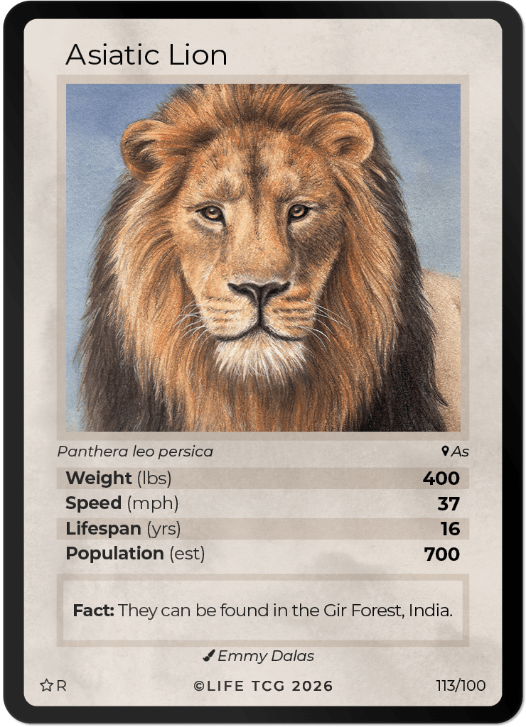 LIFE TCG Mammals Special Edition - Choose Your Card - Holos, Rares, Extended Arts, Full Arts (Rare, 113R - Asiatic Lion 113/100)