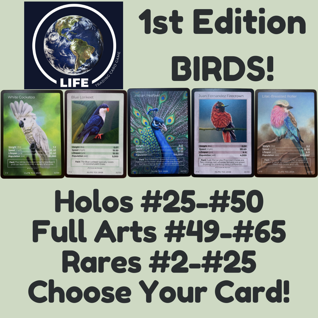 LIFE TCG Birds 1st Edition - Choose Your Card - Holos, Full Arts, Rares
