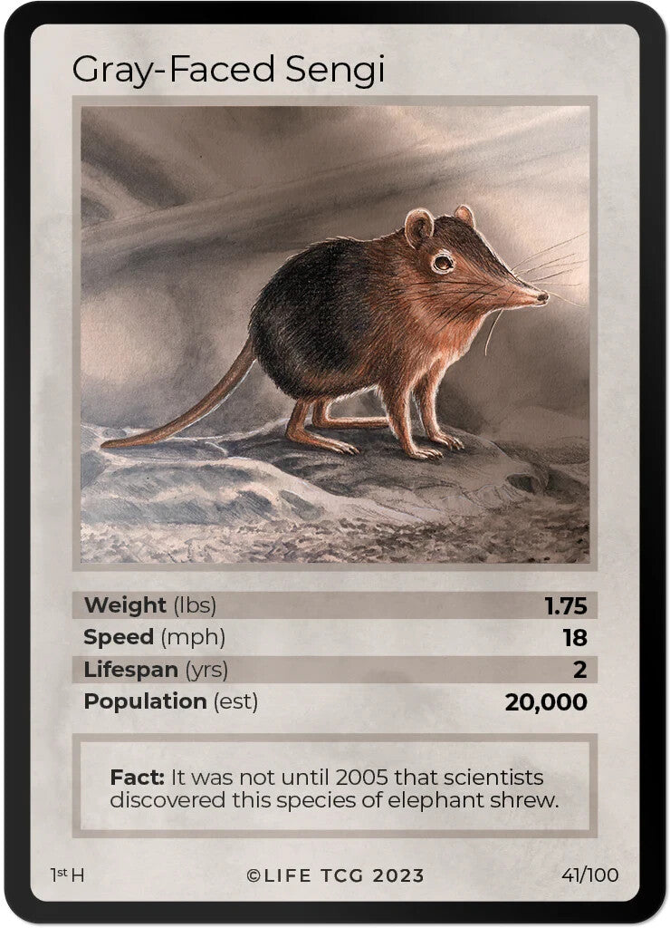 LIFE TCG Mammals 1st Edition - Choose Your Card - Holos #26-53 & Rares #1-25 (Gray-Faced Sengi 41/100 - Holo)