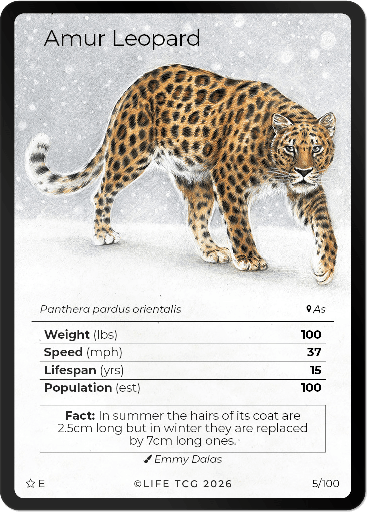 LIFE TCG Mammals Special Edition - Choose Your Card - Holos, Rares, Extended Arts, Full Arts (Extended Art, 5E - Amur Leopard 5/100)