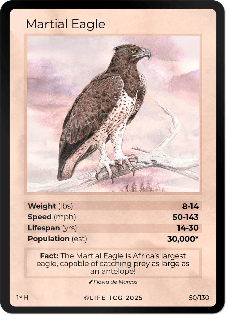 LIFE TCG Birds 1st Edition - Choose Your Card - Holos, Full Arts, Rares (Holo, 50H - Martial Eagle 50/130)
