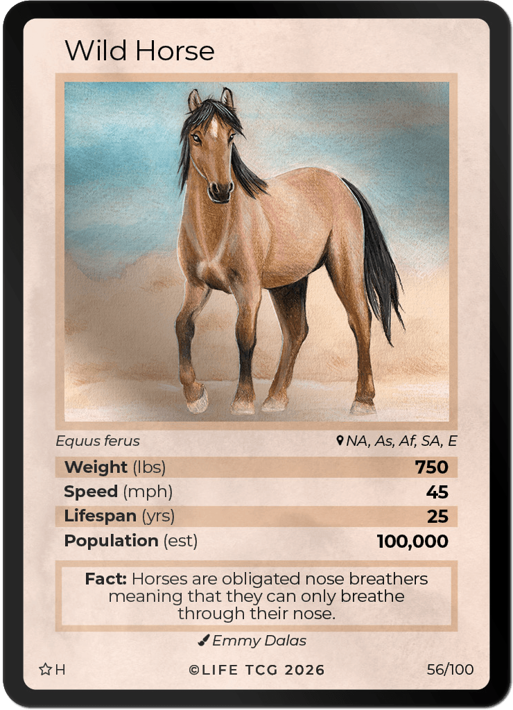 LIFE TCG Mammals Special Edition - Choose Your Card - Holos, Rares, Extended Arts, Full Arts (Holo, 56H - Wild Horse 56/100)