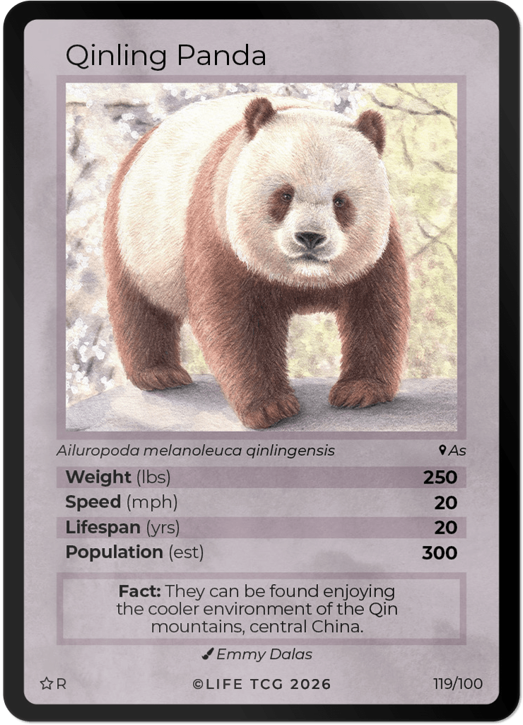LIFE TCG Mammals Special Edition - Choose Your Card - Holos, Rares, Extended Arts, Full Arts (Rare, 119R - Qinling Panda 119/100)