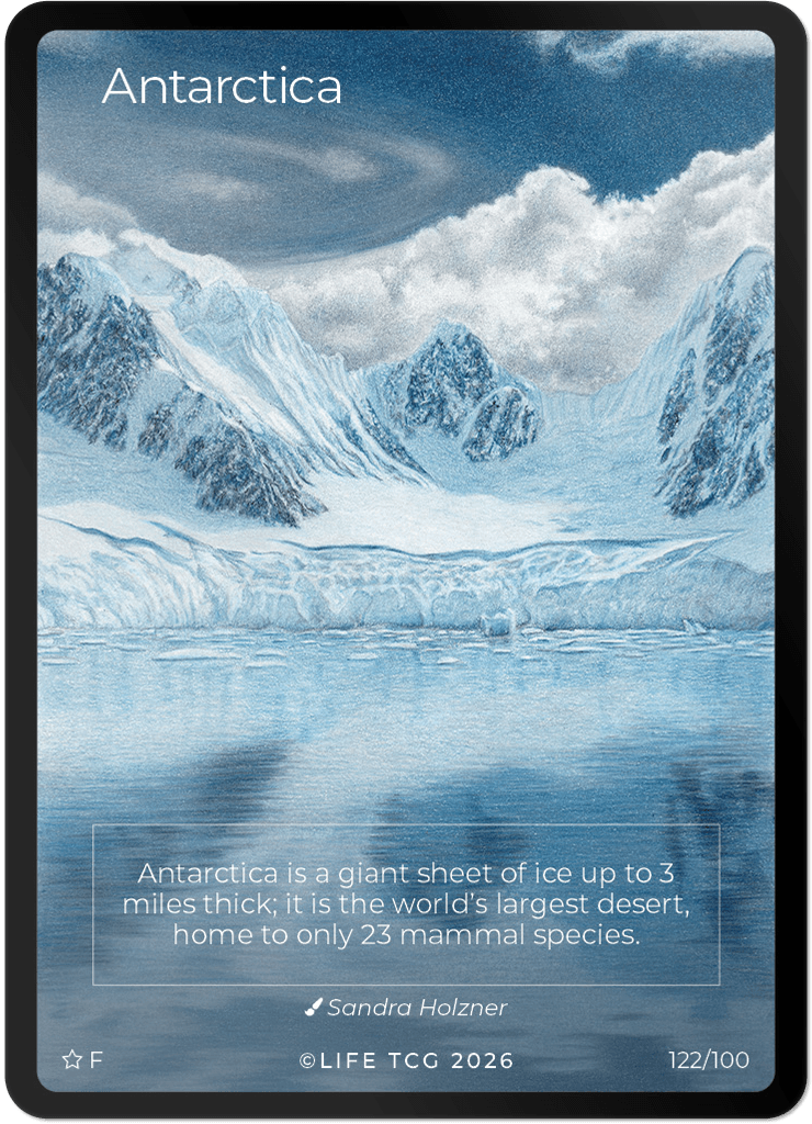 LIFE TCG Mammals Special Edition - Choose Your Card - Holos, Rares, Extended Arts, Full Arts (Full Art, 122F - Antarctica 122/100)