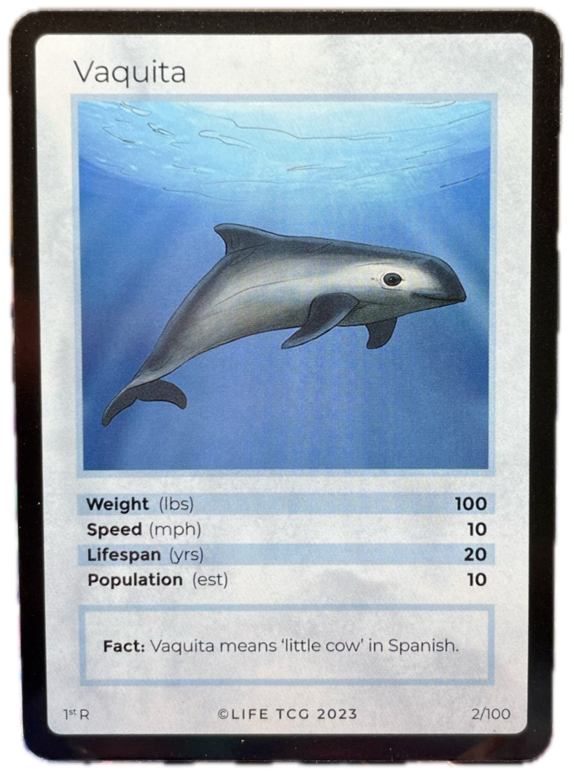 LIFE TCG Mammals 1st Edition - Choose Your Card - Holos #26-53 & Rares #1-25 (Vaquita 2/100 - Rare)