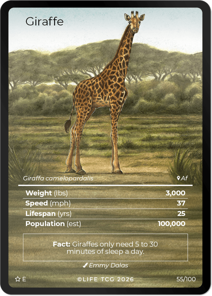 LIFE TCG Mammals Special Edition - Choose Your Card - Holos, Rares, Extended Arts, Full Arts (Extended Art, 55E - Giraffe 55/100)