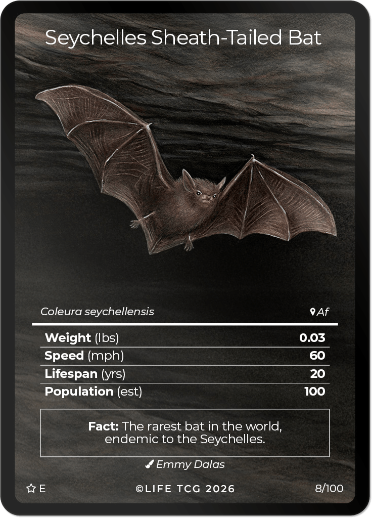 LIFE TCG Mammals Special Edition - Choose Your Card - Holos, Rares, Extended Arts, Full Arts (Extended Art, 8E - Seychelles Sheath-Tailed Bat 8/100)