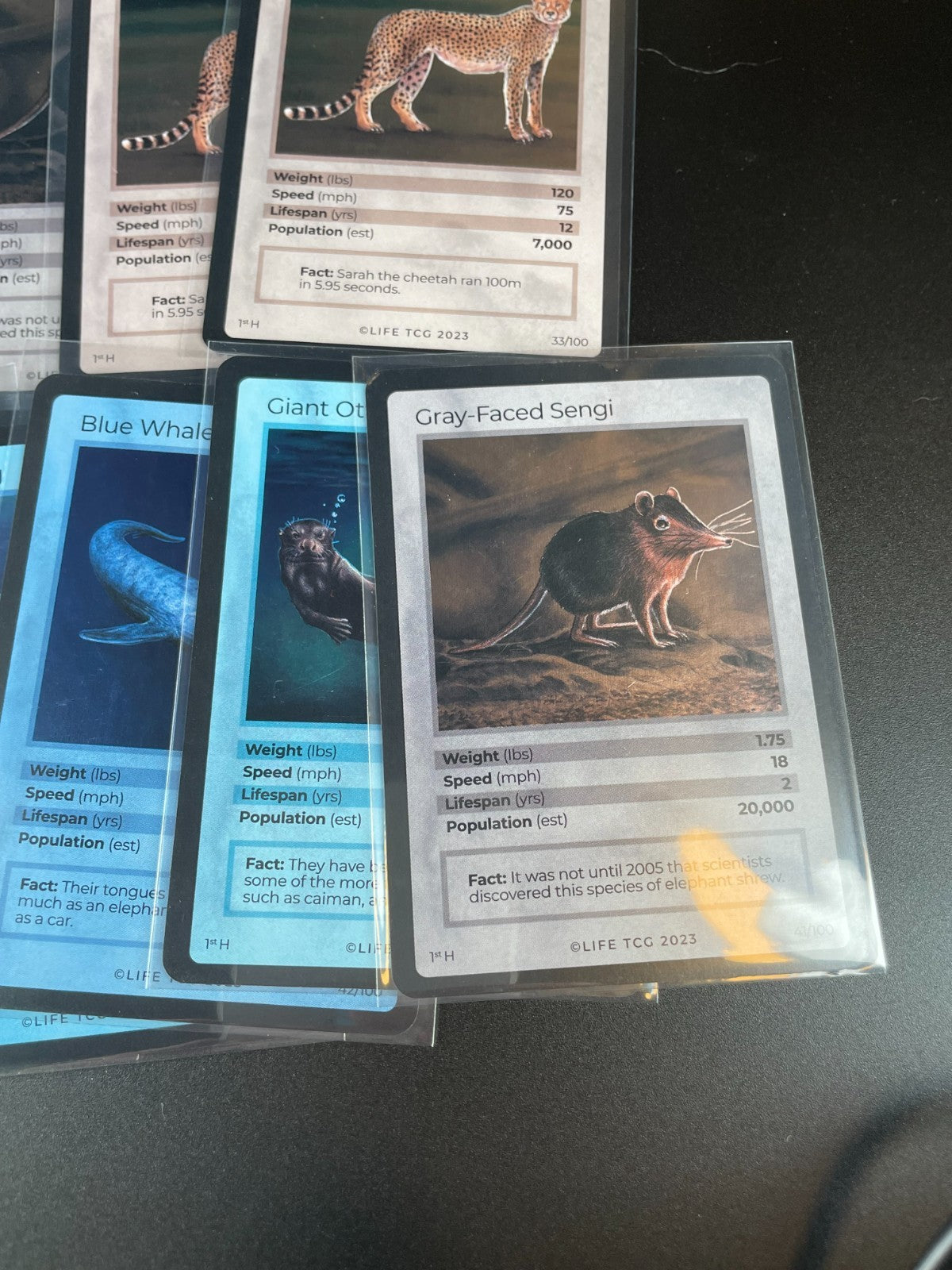 LIFE TCG Mammals High Pop Holos Lot - 15 cards! Mixed cards from Alpha Print