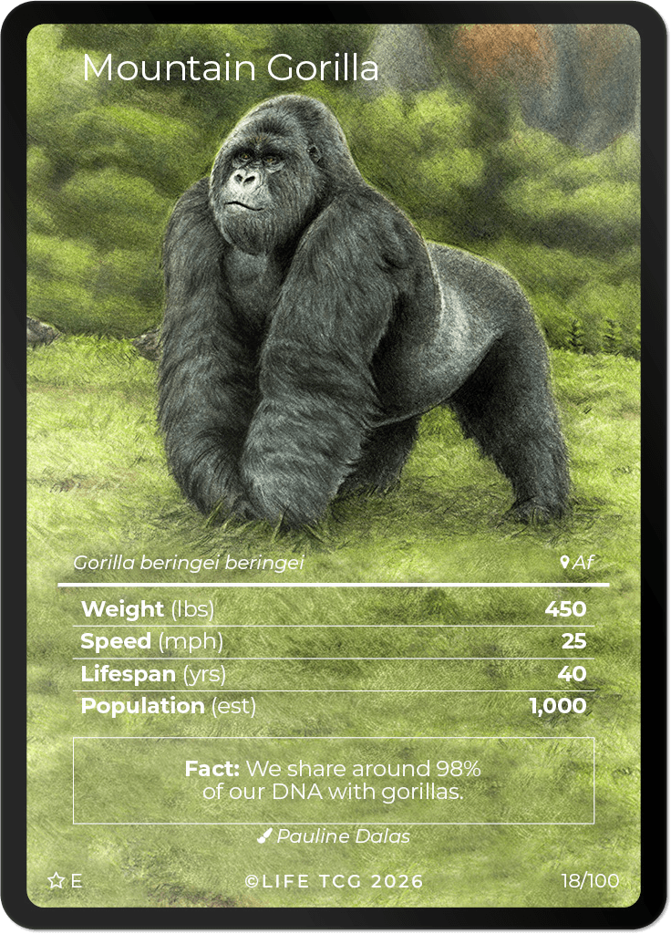 LIFE TCG Mammals Special Edition - Choose Your Card - Holos, Rares, Extended Arts, Full Arts (Extended Art, 18E - Mountain Gorilla 18/100)