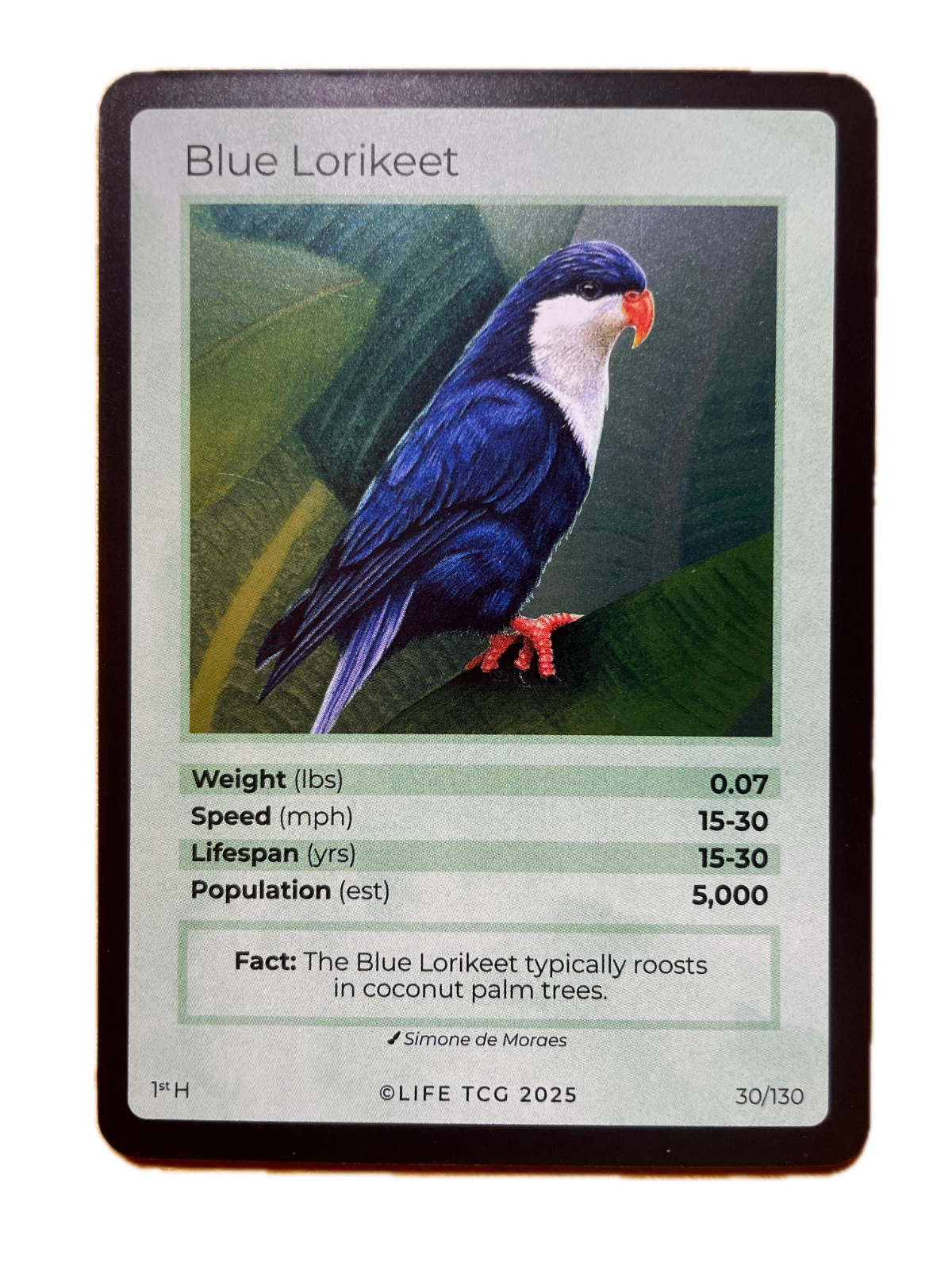 LIFE TCG Birds 1st Edition - Choose Your Card - Holos, Full Arts, Rares (Holo, 30H - Blue Lorikeet 30/130)
