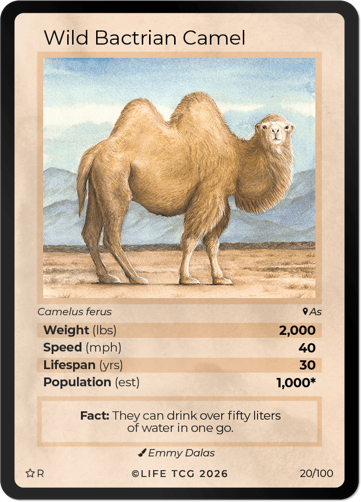 LIFE TCG Mammals Special Edition - Choose Your Card - Holos, Rares, Extended Arts, Full Arts (Rare, 20R - Wild Bactrian Camel 20/100)