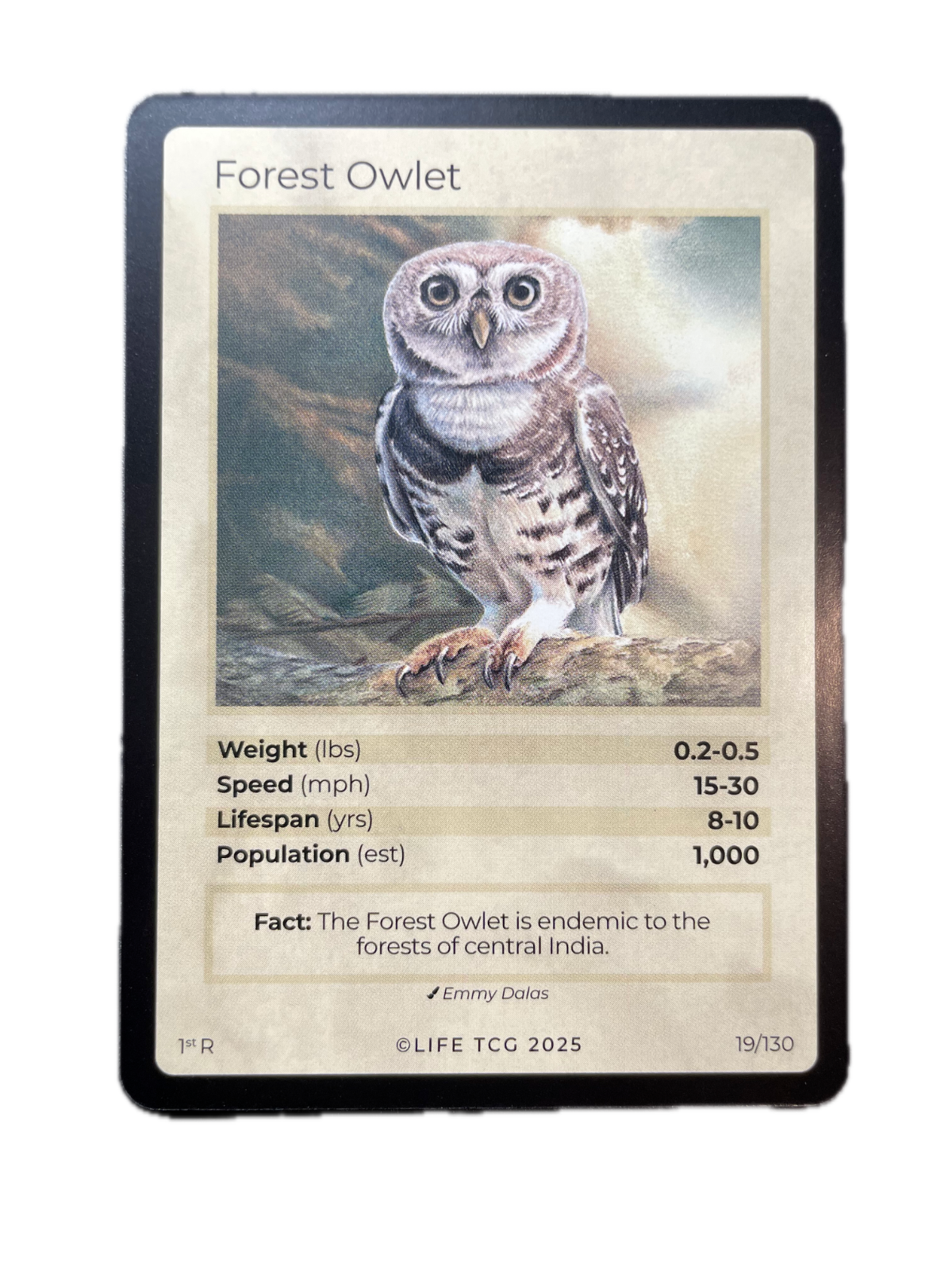 LIFE TCG Birds 1st Edition - Choose Your Card - Holos, Full Arts, Rares (Rare, 19R - Forest Owlet 19/130)