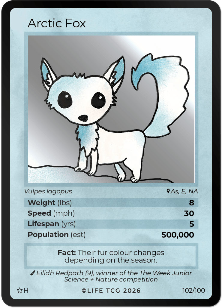 LIFE TCG Mammals Special Edition - Choose Your Card - Holos, Rares, Extended Arts, Full Arts (Holo, 102H - Arctic Fox 102/100)
