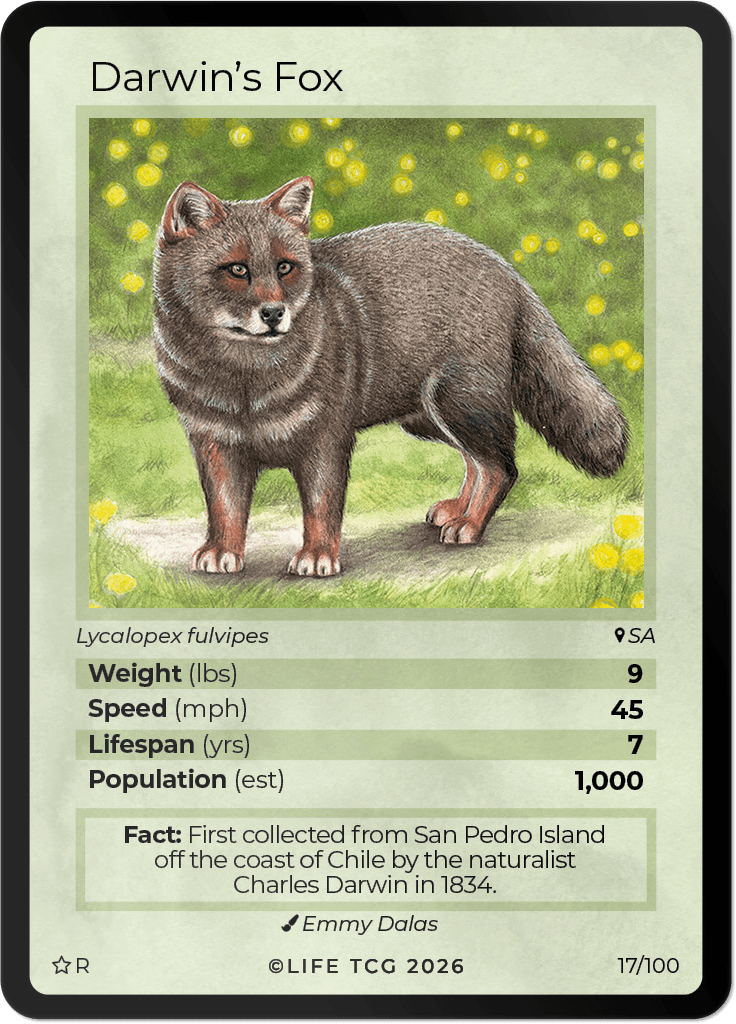 LIFE TCG Mammals Special Edition - Choose Your Card - Holos, Rares, Extended Arts, Full Arts (Rare, 17R - Darwin's Fox 17/100)