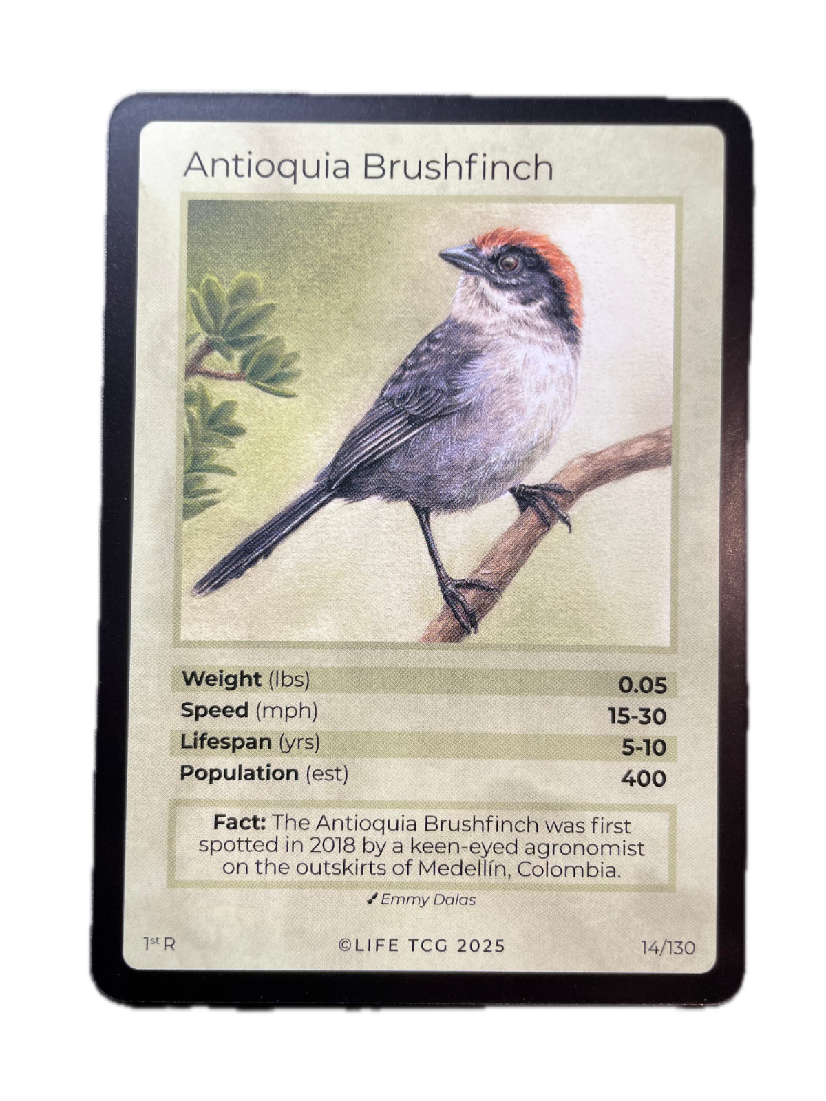 LIFE TCG Birds 1st Edition - Choose Your Card - Holos, Full Arts, Rares (Rare, 14R - Antioquia Brushfinch 14/130)