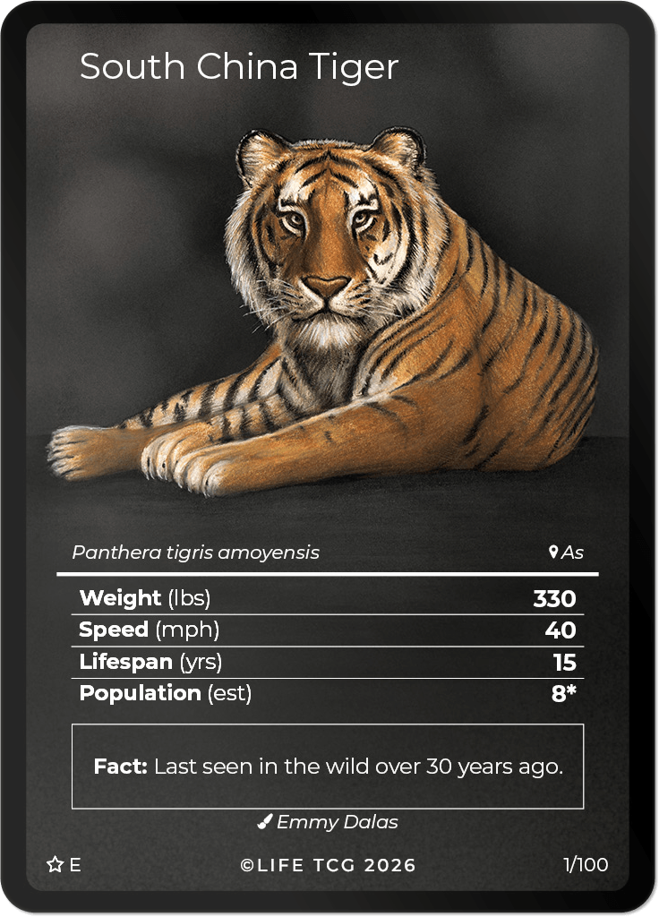 LIFE TCG Mammals Special Edition - Choose Your Card - Holos, Rares, Extended Arts, Full Arts (Extended Art, 1E - South China Tiger 1/100)