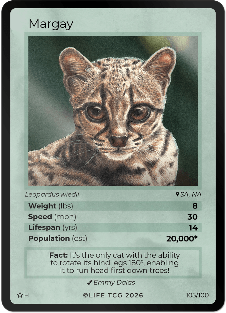 LIFE TCG Mammals Special Edition - Choose Your Card - Holos, Rares, Extended Arts, Full Arts (Holo, 105H - Margay 105/100)