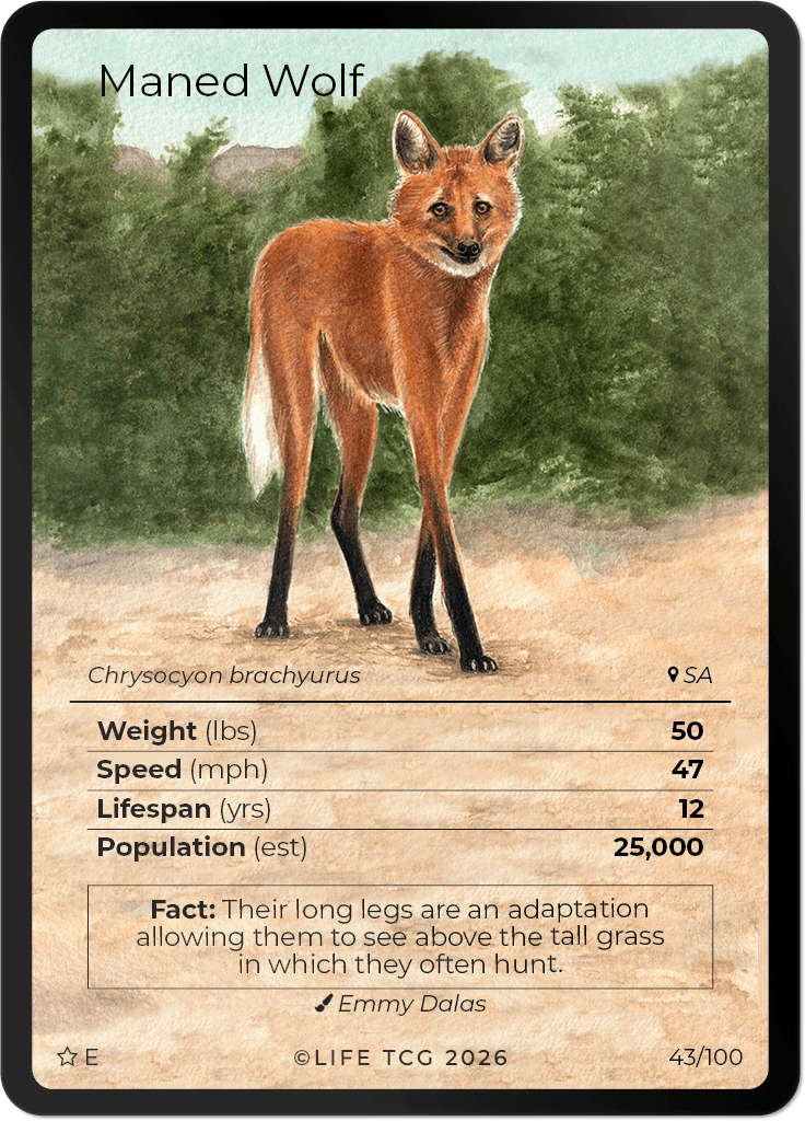 LIFE TCG Mammals Special Edition - Choose Your Card - Holos, Rares, Extended Arts, Full Arts (Extended Art, 43E - Maned Wolf 43/100)