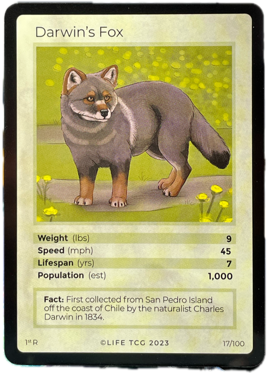 LIFE TCG Mammals 1st Edition - Choose Your Card - Holos #26-53 & Rares #1-25 (Darwin's Fox 17/100 - Rare)