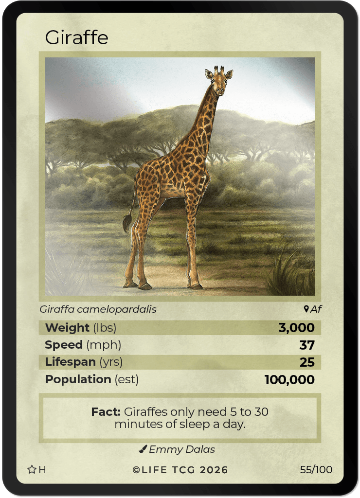LIFE TCG Mammals Special Edition - Choose Your Card - Holos, Rares, Extended Arts, Full Arts (Holo, 55H - Giraffe 55/100)